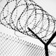Illustration for article titled After Shutdown Causes Family Visits to Be Canceled, Inmates at New York City Jail Go on Hunger Strike